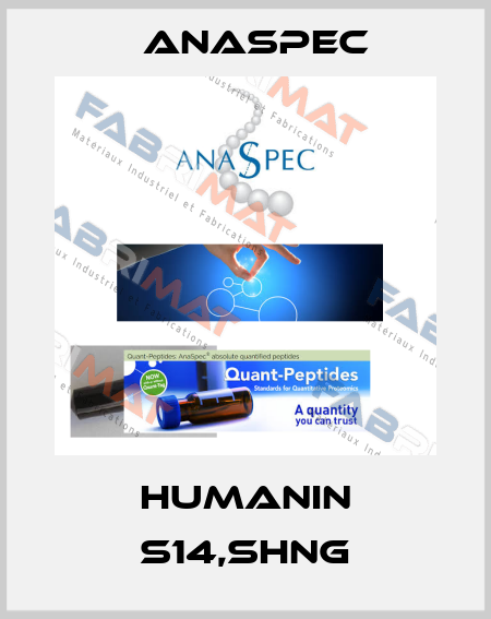 Humanin S14,sHNG ANASPEC