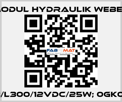 M33/L300/12VDC/25W; 0GK01001 MODUL HYDRAULIK WEBER