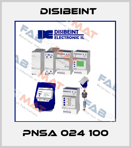 PNSA 024 100 Disibeint