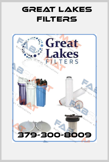 379-300-8009 Great Lakes Filters
