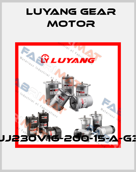 UJ230V16-200-15-A-G3 Luyang Gear Motor