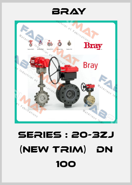 Series : 20-3ZJ (New Trim)   DN 100 Bray