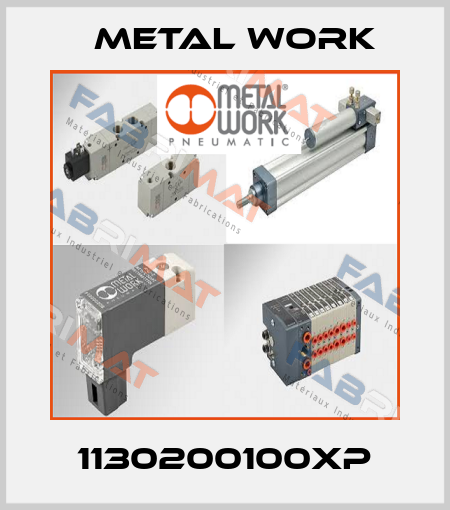 1130200100XP Metal Work