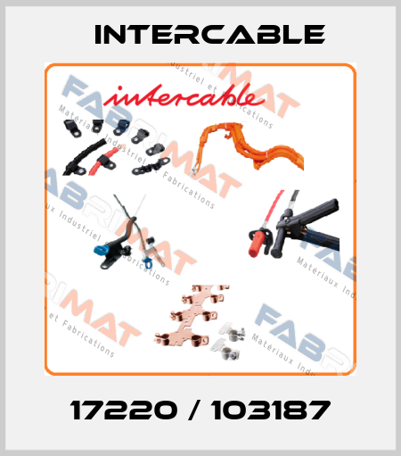 17220 / 103187 Intercable