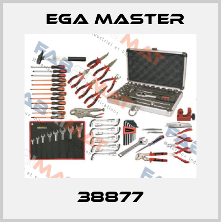 38877 EGA Master