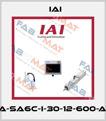 RCA-SA6C-I-30-12-600-A1-M IAI