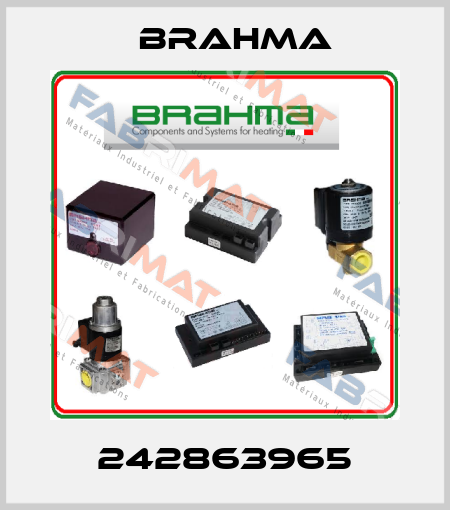 242863965 Brahma