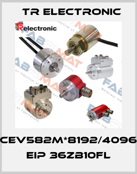 CEV582M*8192/4096 EIP 36ZB10FL TR Electronic