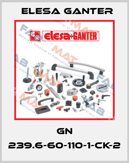 GN 239.6-60-110-1-CK-2 Elesa Ganter