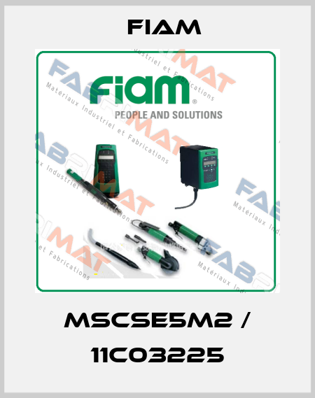 MSCSE5M2 / 11C03225 Fiam