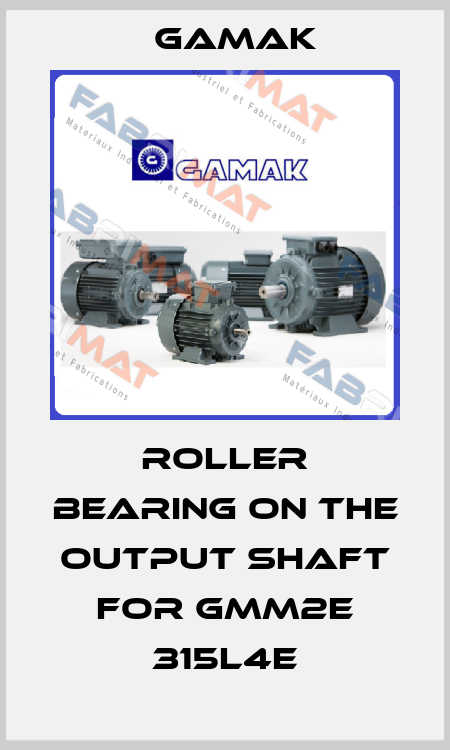 roller bearing on the output shaft for GMM2E 315L4e Gamak