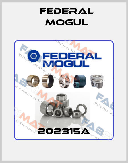 202315A Federal Mogul