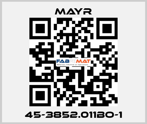 45-3852.011BO-1 Mayr