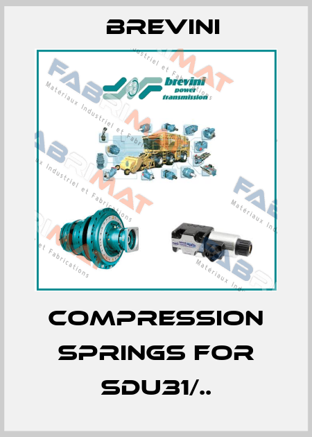 compression springs for SDU31/.. Brevini