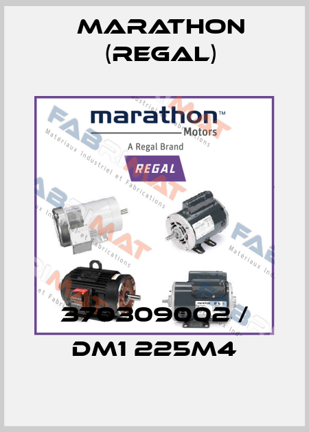 370309002 / DM1 225M4 Marathon (Regal)