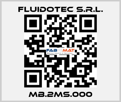 MB.2MS.000 FLUIDOTEC S.r.l.
