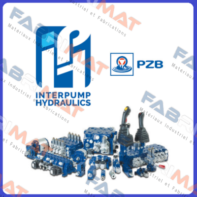 31230432010 Pzb
