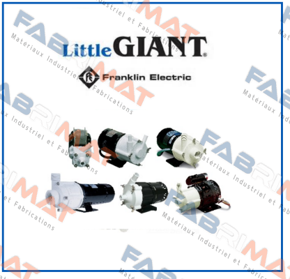 505300 Little Giant