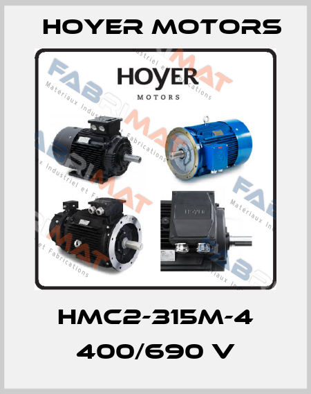 HMC2-315M-4 400/690 V Hoyer Motors