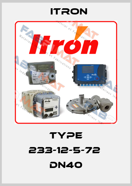 Type 233-12-5-72  DN40 Itron