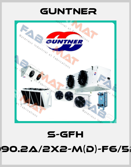 S-GFH 090.2A/2x2-M(D)-F6/5P Guntner