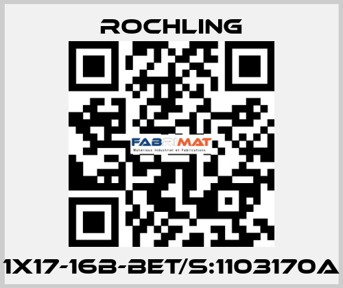 1X17-16B-BET/S:1103170A ROCHLING