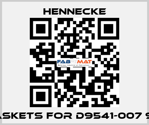 gaskets for D9541-007 913 Hennecke