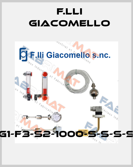 RL/G1-F3-S2-1000-S-S-S-S-S-1 F.lli Giacomello