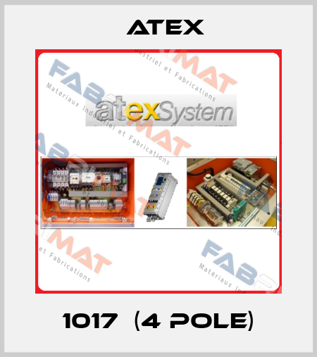 1017  (4 pole) Atex