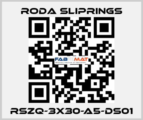 RSZQ-3X30-A5-DS01 Roda Sliprings