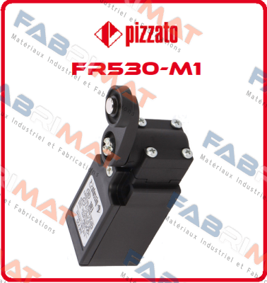 FR530-M1 Pizzato Elettrica