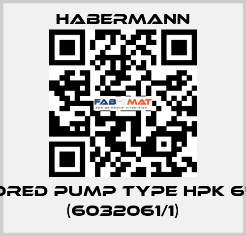 Armored pump type HPK 65/300 (6032061/1) HABERMANN