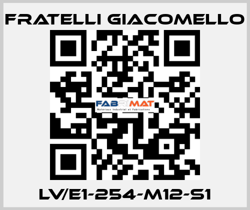 LV/E1-254-M12-S1 Fratelli Giacomello