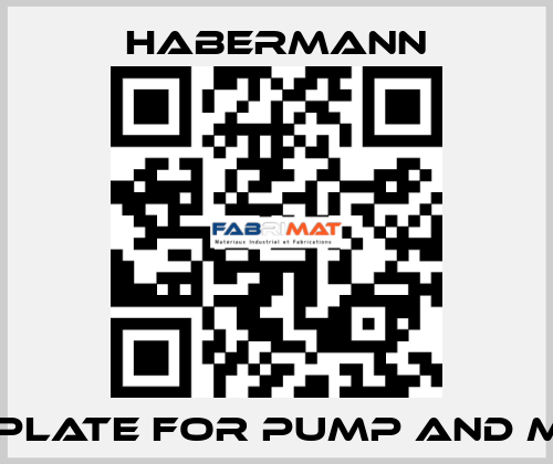 Base plate for pump and motor HABERMANN