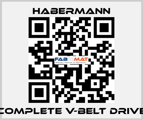 Complete V-belt drive HABERMANN