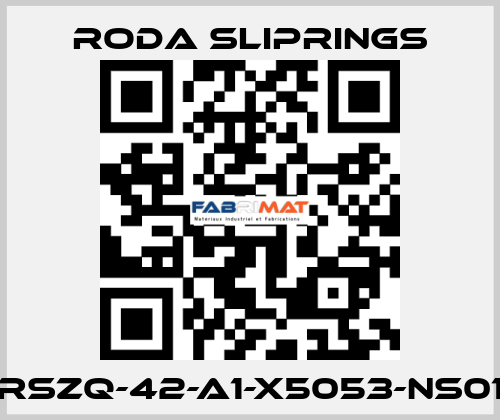 RSZQ-42-A1-X5053-NS01 Roda Sliprings
