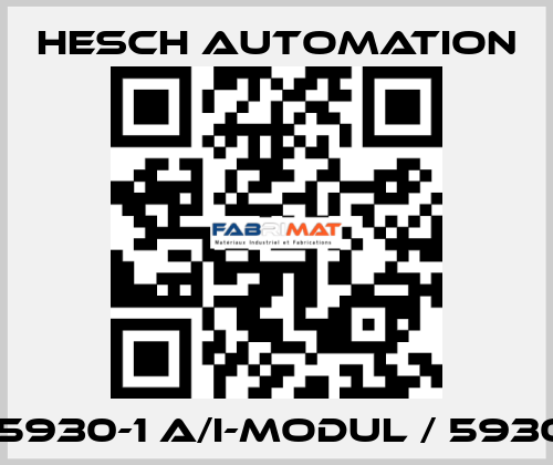 HE 5930-1 A/I-Modul / 5930 01 Hesch Automation