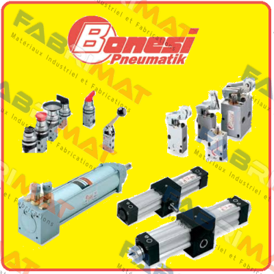 seal kit for 50/80 SKZ Bonesi Pneumatic