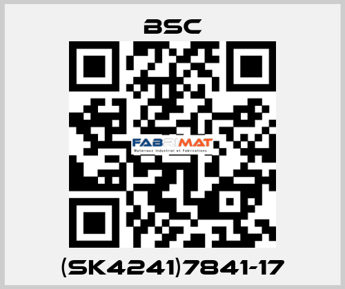 (SK4241)7841-17 BSC