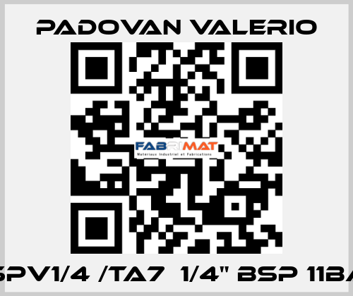 VSPV1/4 /TA7  1/4" BSP 11bar PADOVAN VALERIO