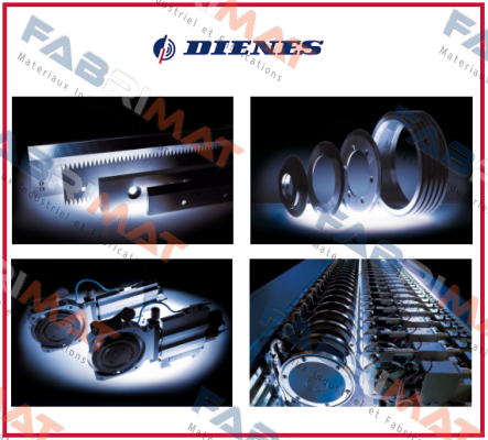 10013367 /231G180303010 Dienes