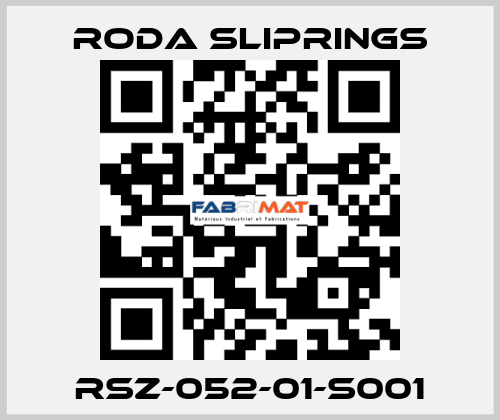 RSZ-052-01-S001 Roda Sliprings
