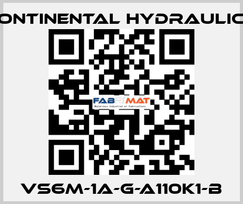VS6M-1A-G-A110K1-B Continental Hydraulics