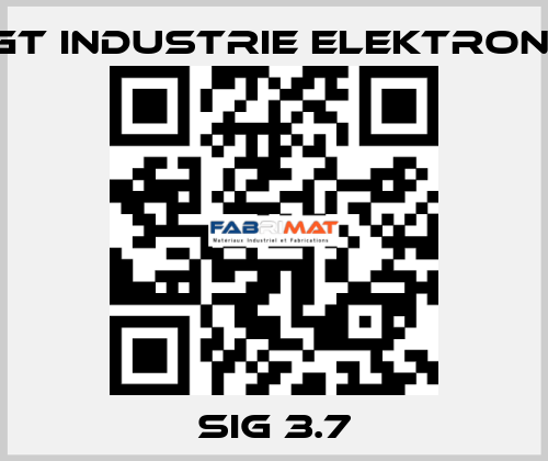SIG 3.7 EGT Industrie elektronik
