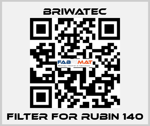 Filter for RUBIN 140 Briwatec