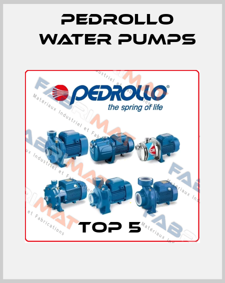 TOP 5  Pedrollo Water Pumps