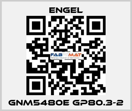 GNM5480E GP80.3-2 ENGEL