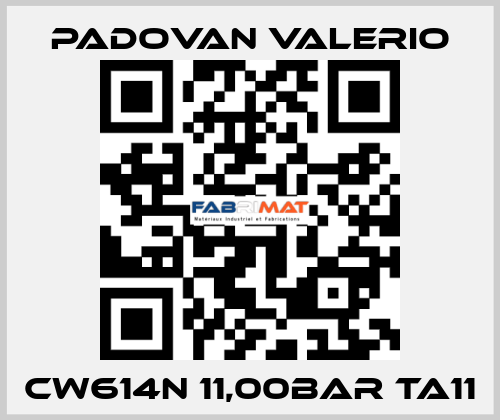 CW614N 11,00BAR TA11 PADOVAN VALERIO