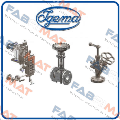 15-19740 Igema