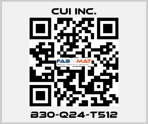 B30-Q24-T512 CUI Inc.
